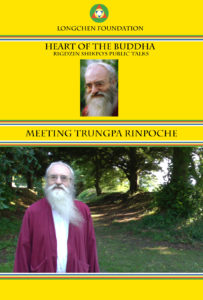 cover-vim-meeting-rinpoche
